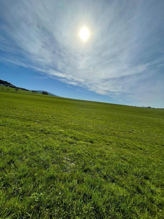 Hundefreundliche Unterkunft Im Muehlviertel In Oberoesterreich Freundorf Exterior foto